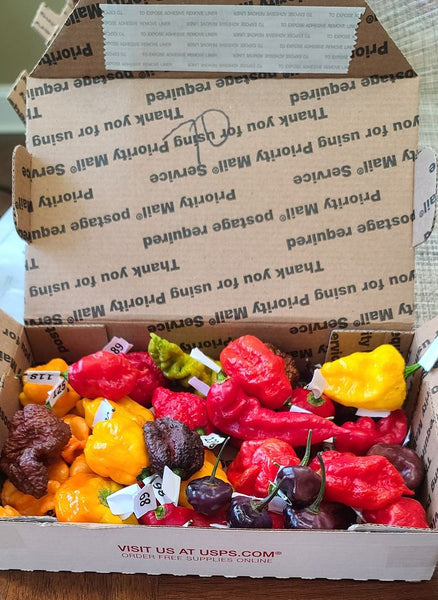 PODS - Fresh pepper pods - Super hots! SFRB