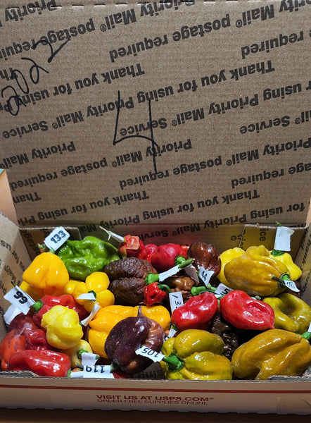 PODS - Advanced order of mixed fresh superhot pods SFRB includes shipping.