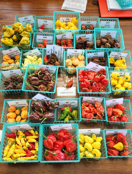 PODS - Fresh pepper pods - Super hots! SFRB
