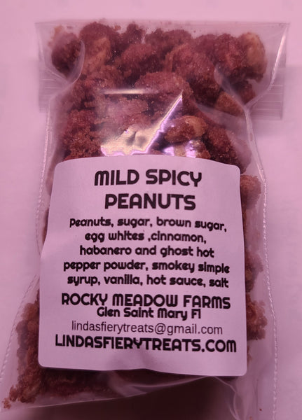NUTS - Mild Spicy peanuts